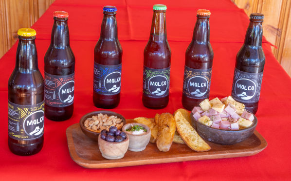 Mobirise Website Builder